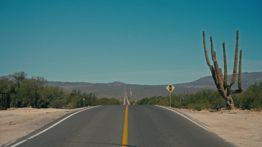 A long, straight desert highway with a large cactus stretches into the distant mountains under a clear blue sky