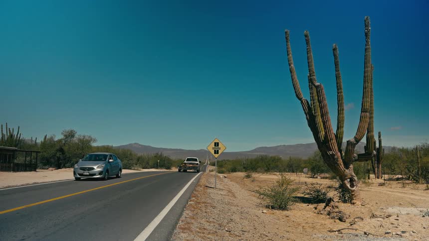 A pickup truck towing a trailer drives down a desolate desert highway past a large cactus