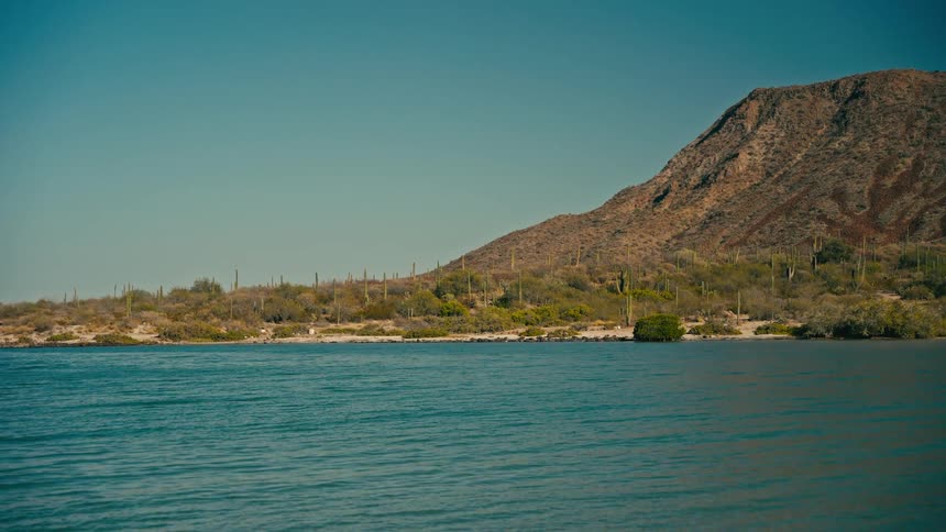 A serene view of calm blue waters lapping against a desert shoreline filled with cacti at the base of a large mountain