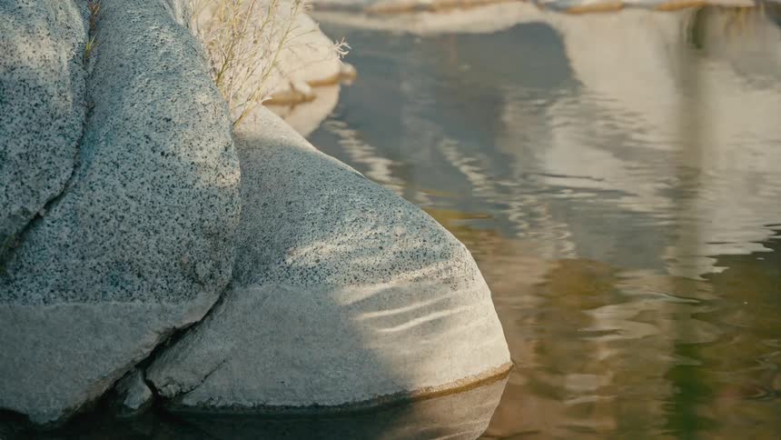 Dancing light from rippling water reflects onto a smooth rock at the edge of a serene stream