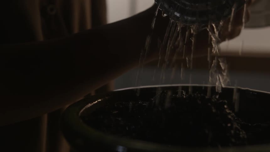 A woman waters a pot of soil