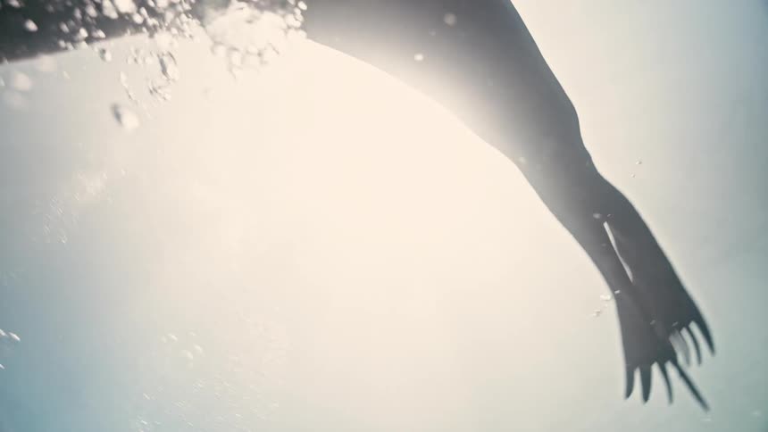 Slow motion underwater shot from below of a curious sea lion gracefully swimming towards the sunlit ocean surface