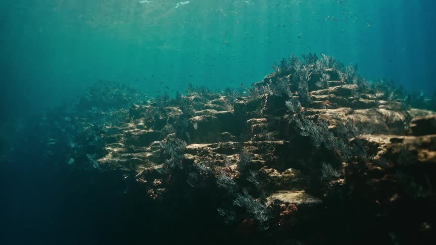 Sunlight filters through the ocean's surface to illuminate a beautiful coral reef and schools of small fish