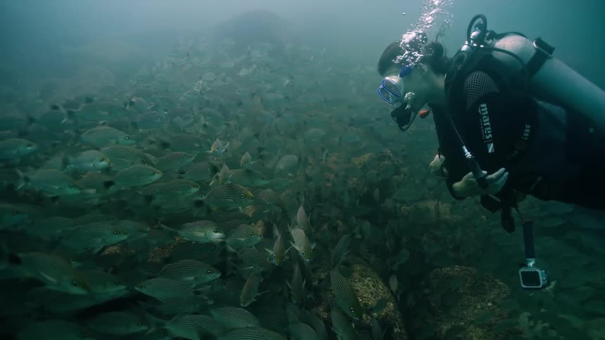 A scuba diver floats peacefully while observing a massive school of fish swimming by in slow motion