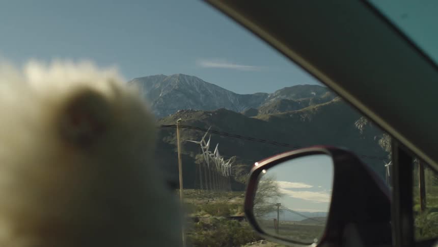 A fluffy white Pomeranian dog looks out a car window at snowy mountains and a wind farm while on a scenic desert road trip