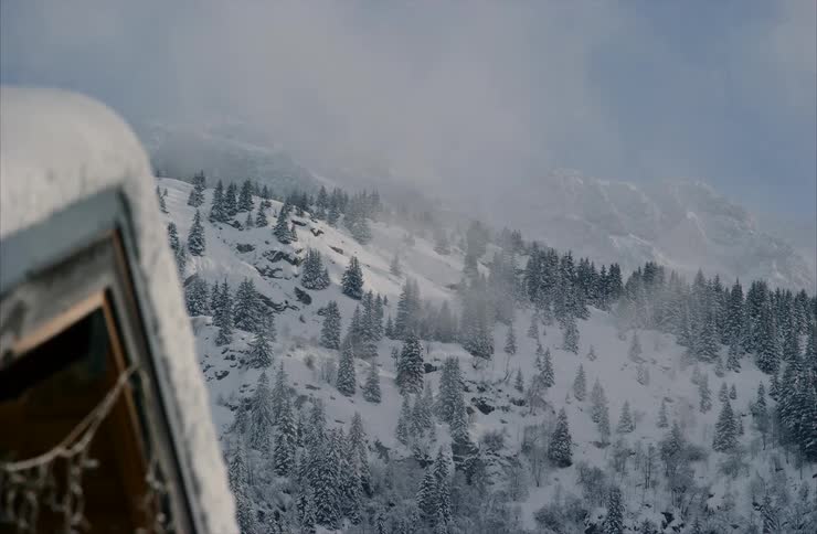 Wind whips snow across a foggy, tree-covered mountain during a winter blizzard, as seen from a snowy cabin