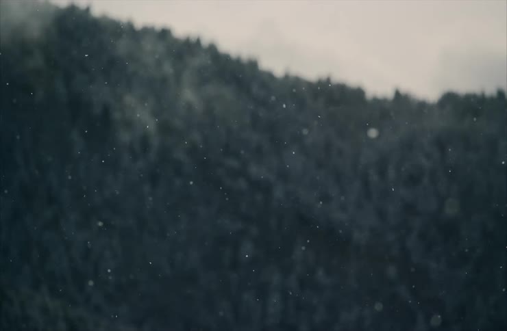 A serene slow-motion close-up of snowflakes falling against a dark, blurry forest background