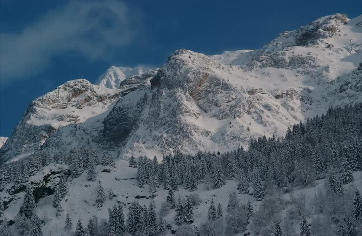 A tiny gondola ascends a majestic snow-covered mountain through a dense pine forest on a clear winter day