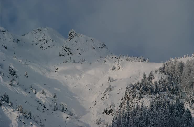 A majestic snow-covered mountain peak rises above a dense evergreen forest under a cloudy sky
