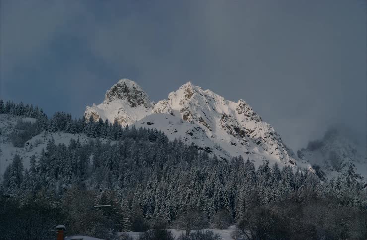 A static shot of a majestic snow-capped mountain peak lit by sunlight, rising above a dark, snowy pine forest under a cloudy sky
