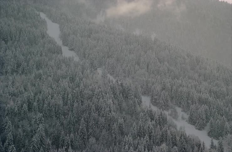 A lone skier glides down a snowy mountain path surrounded by a vast, snow-covered pine forest as snowflakes fall