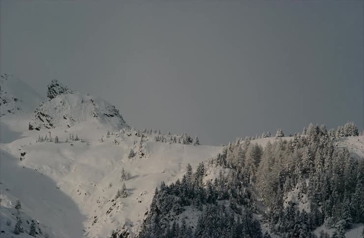 A wide, static shot of a snow-covered mountain and forest under a grey, overcast sky