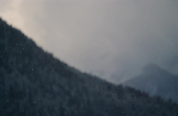 Snow gently falls in slow motion against a blurred, atmospheric mountain forest backdrop