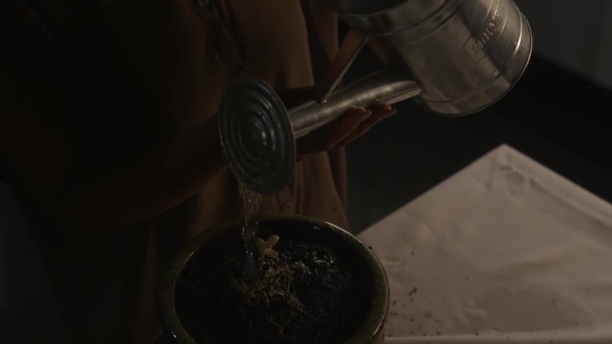 A woman waters a potted plant