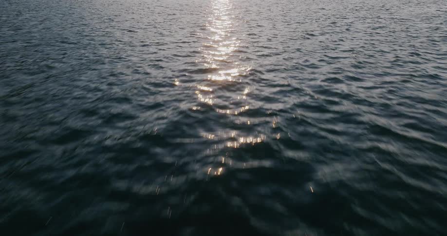 A serene forward glide over rippling water as the sun's reflection shimmers on the surface