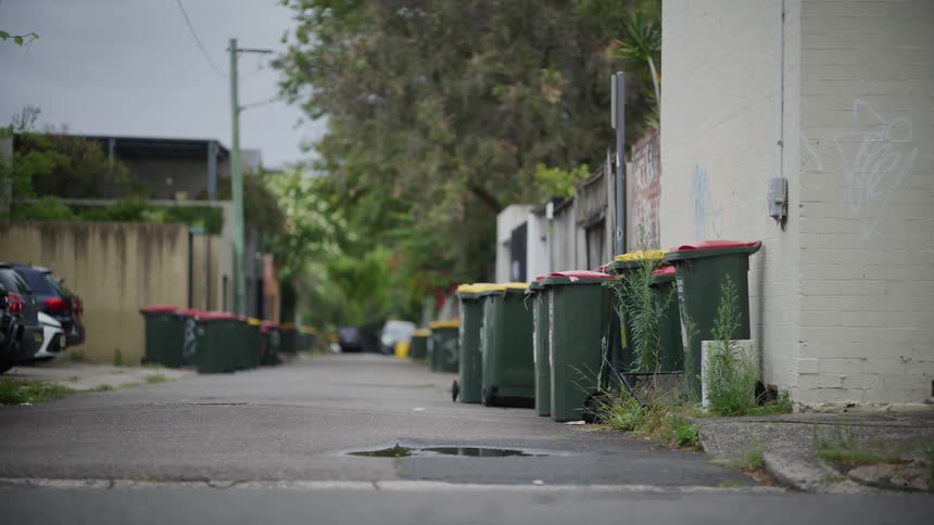 A quiet and gritty urban alleyway is lined with numerous green trash bins waiting for collection on an overcast day