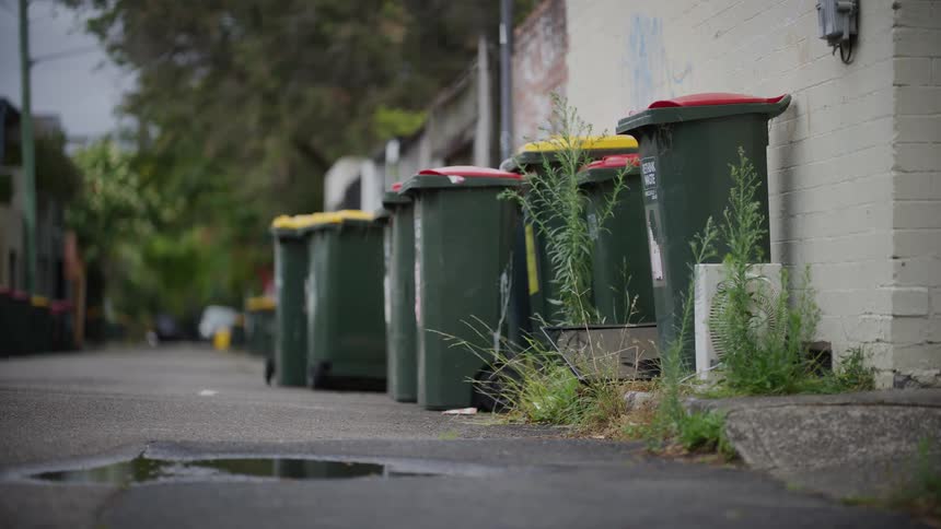 A row of residential trash and recycling bins line a gritty urban alleyway next to a brick building