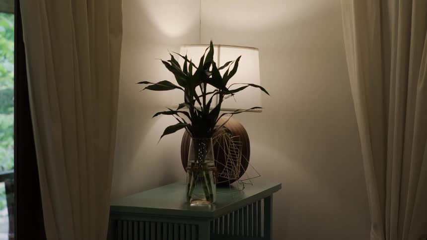 A warm lamp illuminates a bamboo plant in a glass vase on a side table in a cozy room