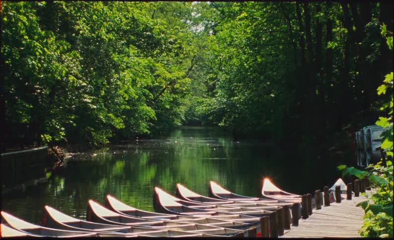 Vintage film captures a row of canoes docked peacefully on a wooden pier along a sun-dappled, tree-lined river