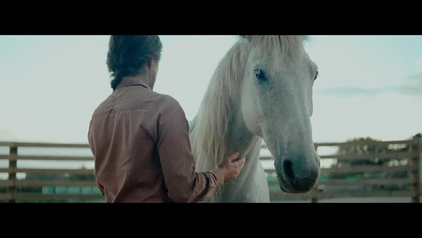 A man gently strokes the neck and mane of a beautiful white horse in a corral at dusk