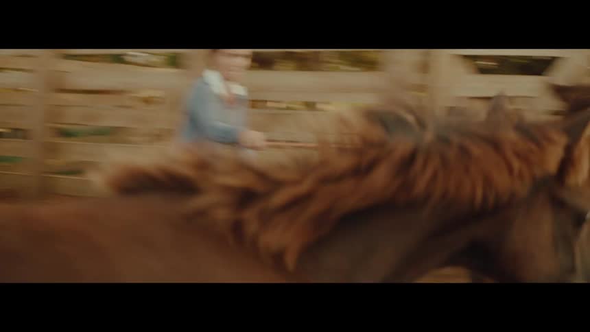 A group of young brown horses run energetically in a wooden round pen during a training session with a woman in slow motion