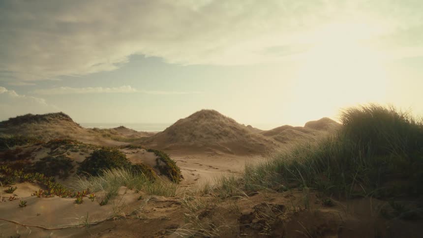 A slow pull-back shot reveals grassy sand dunes on a tranquil coast during a golden sunset