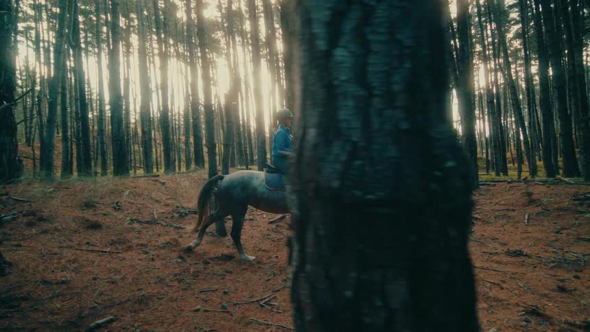 Slow motion tracking shot of a person on horseback gently riding through a tranquil, sun-dappled pine forest