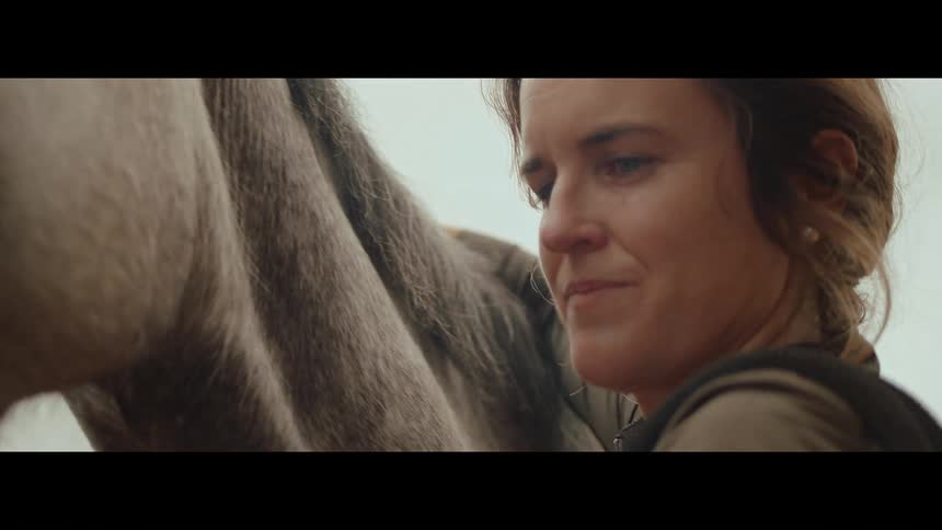 An intimate slow motion close-up of a woman tenderly putting a halter on her grey horse, showing their strong bond