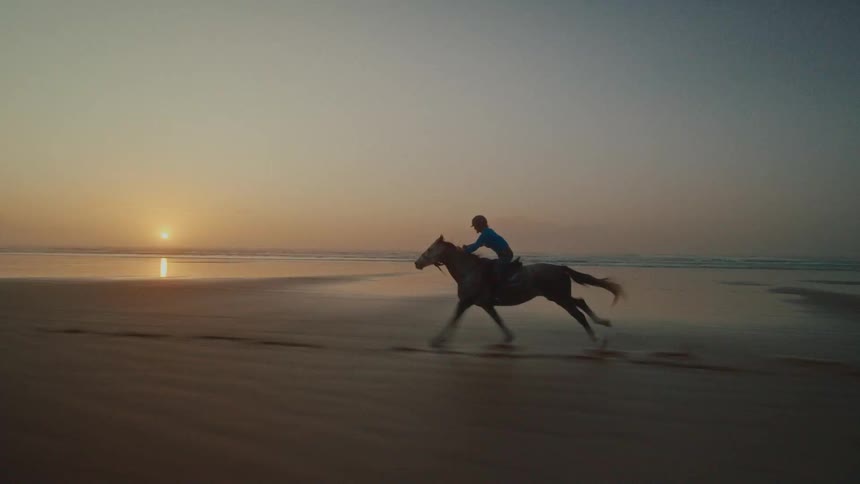 A rider gallops on horseback along a wide, sandy beach at sunset in a majestic slow-motion shot