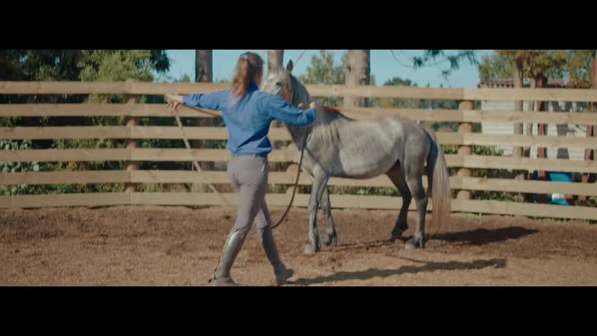 A female horse trainer lunges a beautiful grey horse in a round pen during a training session