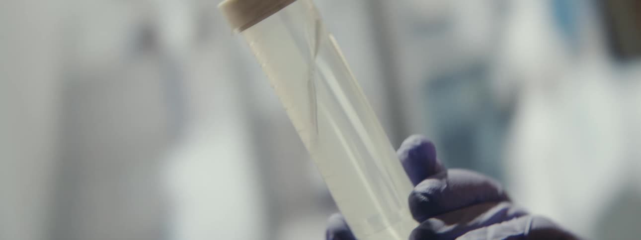 A scientist in a lab carefully examines a biological specimen, possibly a parasite or worm, floating in a liquid-filled test tube