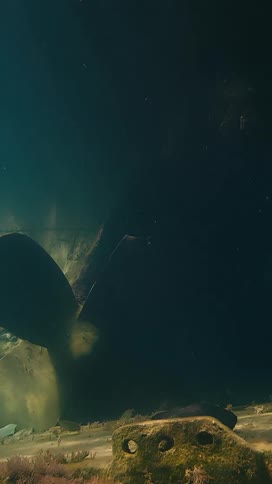 An eerie underwater shot reveals the massive propeller of a shipwreck resting in the murky depths