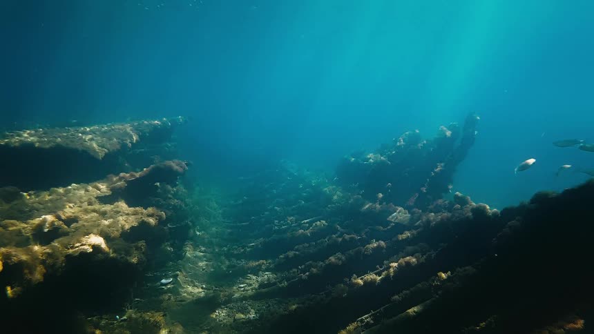 Sunlight streams down into the deep blue ocean, revealing the skeletal remains of an ancient shipwreck covered in algae as fish swim by