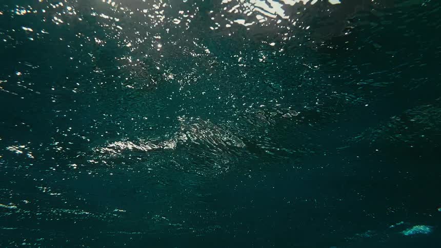 An underwater perspective captures the tranquil movement of the ocean's surface as sunlight glitters and reflects from above