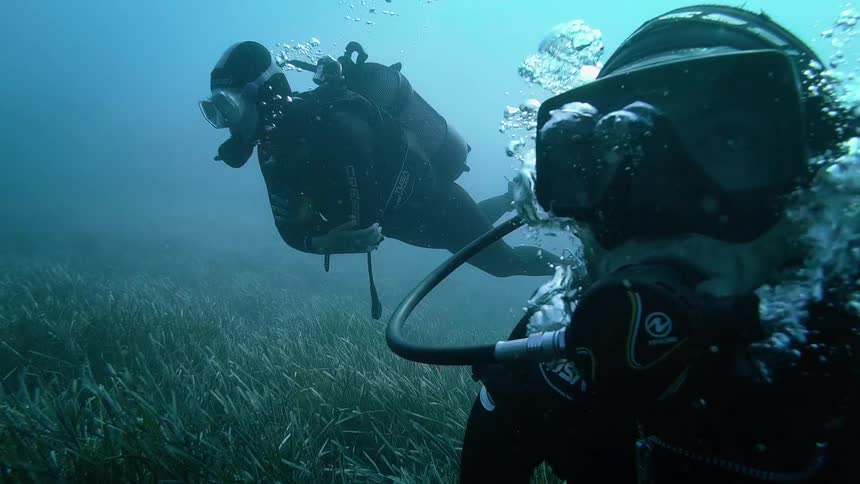 A point-of-view slow-motion shot of two scuba divers exploring the ocean floor covered in lush green seagrass