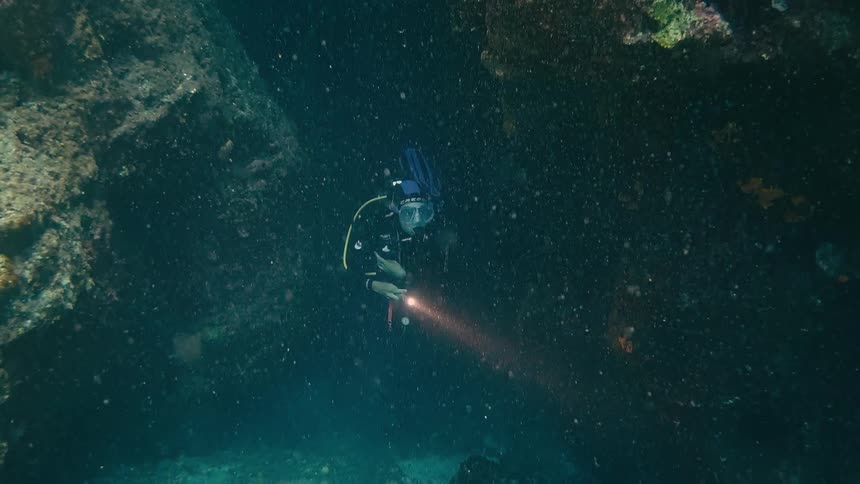 A brave scuba diver uses a flashlight to navigate a dark, underwater cave filled with a massive school of tiny, shimmering fish