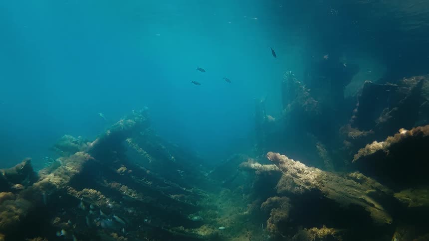 A serene underwater view reveals an ancient wooden shipwreck resting on the ocean floor, with fish swimming through its decaying structure as sunlight filters through the blue water