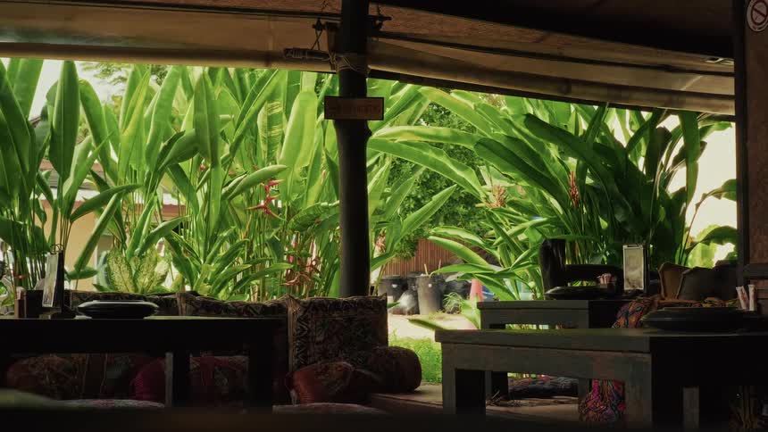 A serene view from a rustic open-air cafe lounge looking out into a lush tropical garden