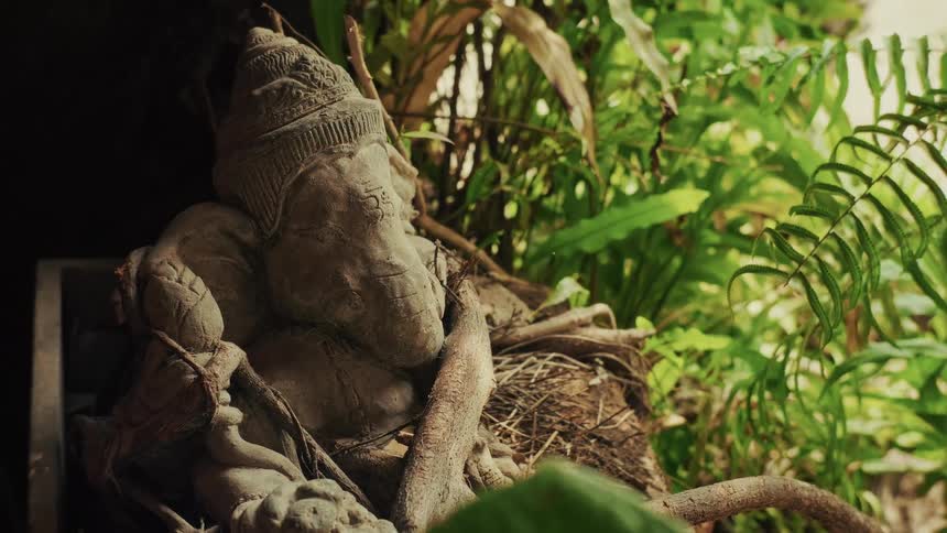 A weathered stone statue of the Hindu deity Ganesha rests peacefully amongst lush green tropical plants and ferns