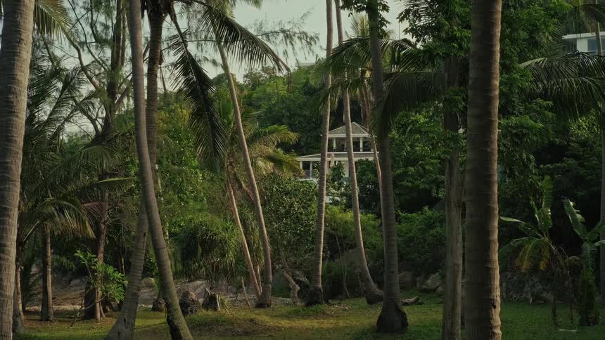 A secluded white villa is seen through a grove of palm trees nestled in a lush, green tropical jungle