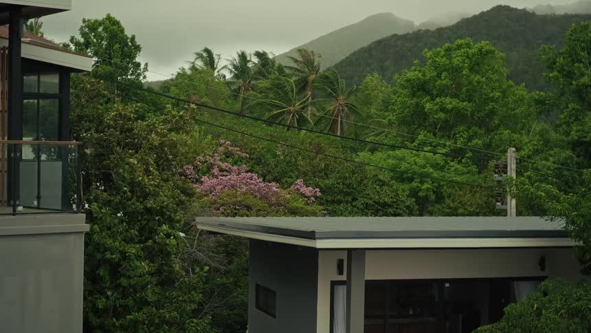 Strong wind blows through tropical trees and houses with a misty mountain in the background on a stormy day