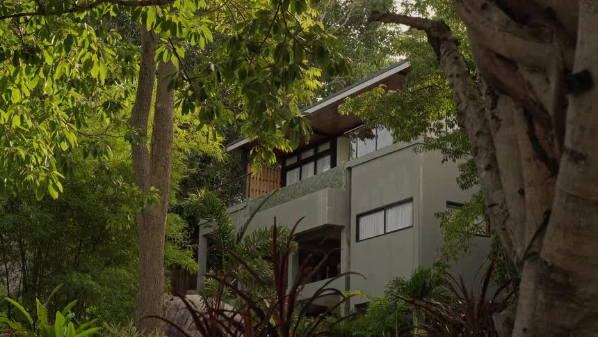 A secluded modern architectural home is nestled amongst the lush green foliage of a tropical jungle