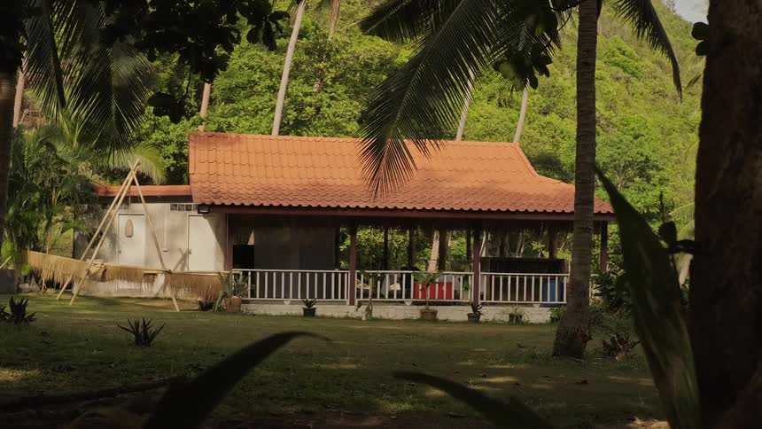 A peaceful tropical home with a porch sits in a grassy clearing surrounded by palm trees and jungle foliage