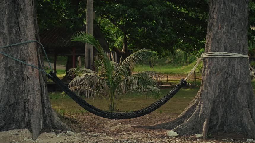 A black hammock gently sways in the breeze, tied between two large trees in a tranquil tropical park