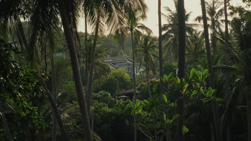 A luxurious modern villa sits nestled on a lush green hillside, seen through a dense tropical jungle of palm trees