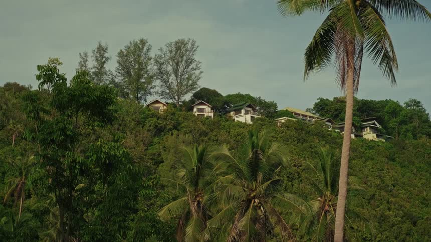 Palm trees frame a view of luxurious villas built into a vibrant green tropical hillside