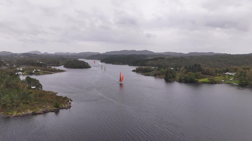 Aerial view of a fleet of sailboats with colorful spinnakers racing on a tranquil fjord in Norway on an overcast day