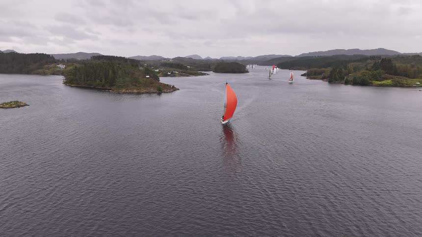 Aerial view of a sailboat with a striking red spinnaker leading a regatta through a calm fjord on an overcast day