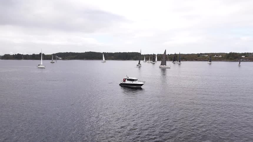 Many sailboats and a motorboat navigate a calm fjord during a regatta on an overcast day