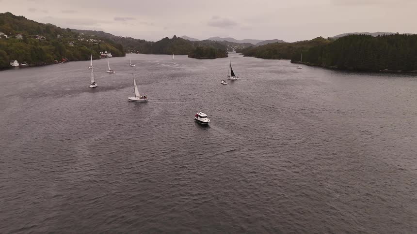 A majestic aerial shot shows sailboats and a yacht navigating a vast fjord surrounded by lush green hills on an overcast day
